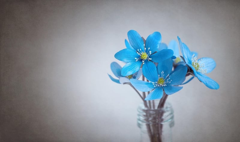 Magical Details