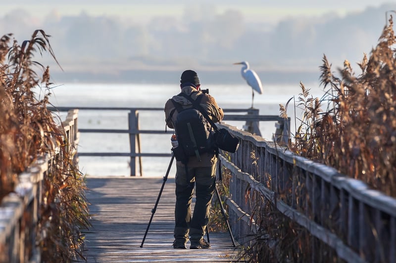 Photographer capturing a special moment